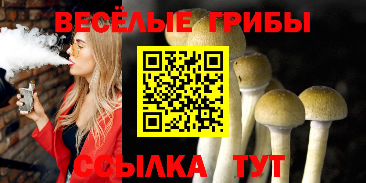 Псилоцибиновые грибы мицелий Можга